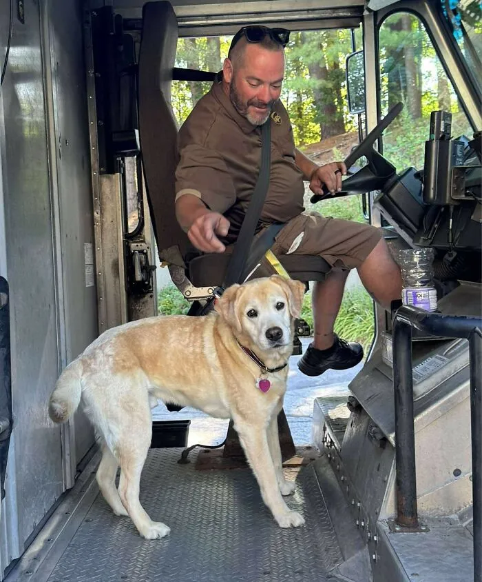 50 Of The Cutest Dogs And Other Pets UPS Drivers Met While On The Job (New Pics)