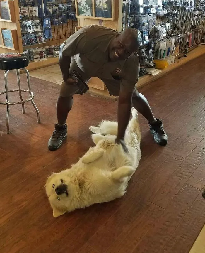 50 Of The Cutest Dogs And Other Pets UPS Drivers Met While On The Job (New Pics)