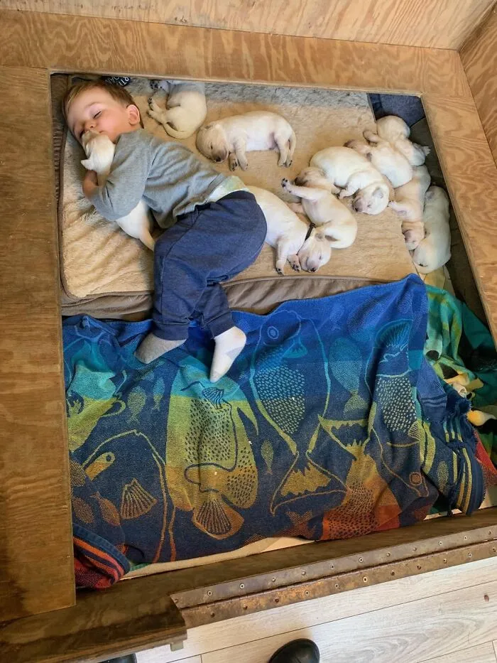 My Baby With My Dog’s Babies