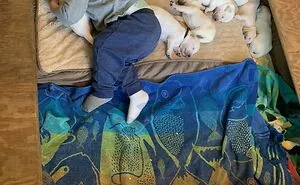 50 Wholesome Posts To Distract You From The Current Horrors Of The World (New Pics)