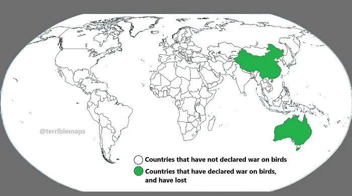 Countries That Declared War On Birds… And Lost