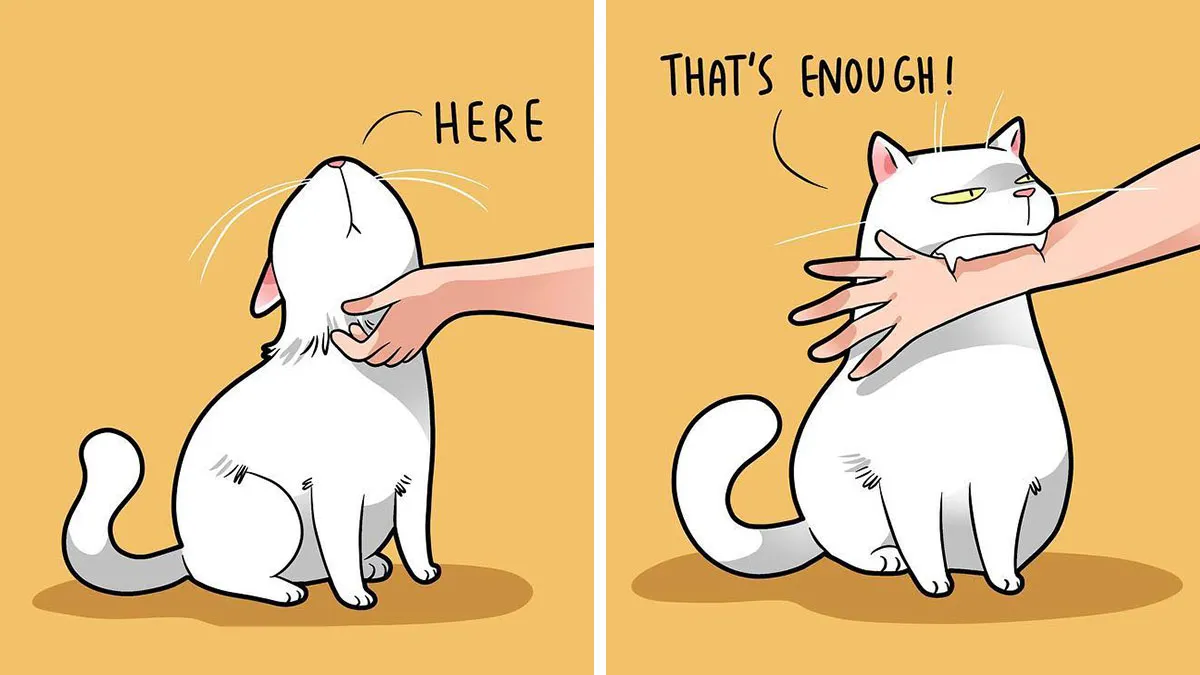 If You're A Cat Owner, These Comics By Lingvistov Might Be Very Relatable To You (50 Best Pics)