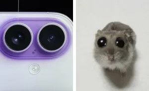 The Memes Are Back Better Than Ever With The Latest iPhone Launch, Here Are 12 Of The Funniest