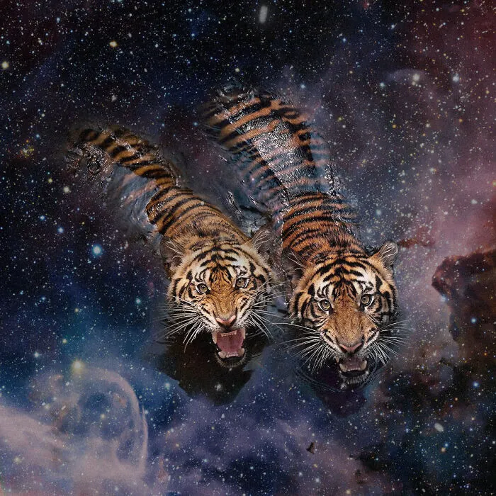 I Made 23 Digital Collages That Bend Space And Reality