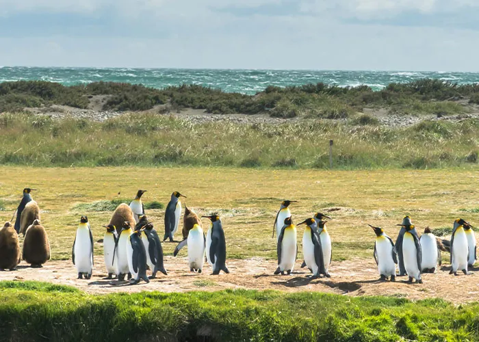 “He Wasn't Even Ashamed”: 46 Ridiculous Tourist Moments Tour Guides Can’t Forget