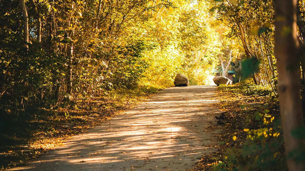 47 Unexpected Treasures People Discovered After Moving Into A New Home