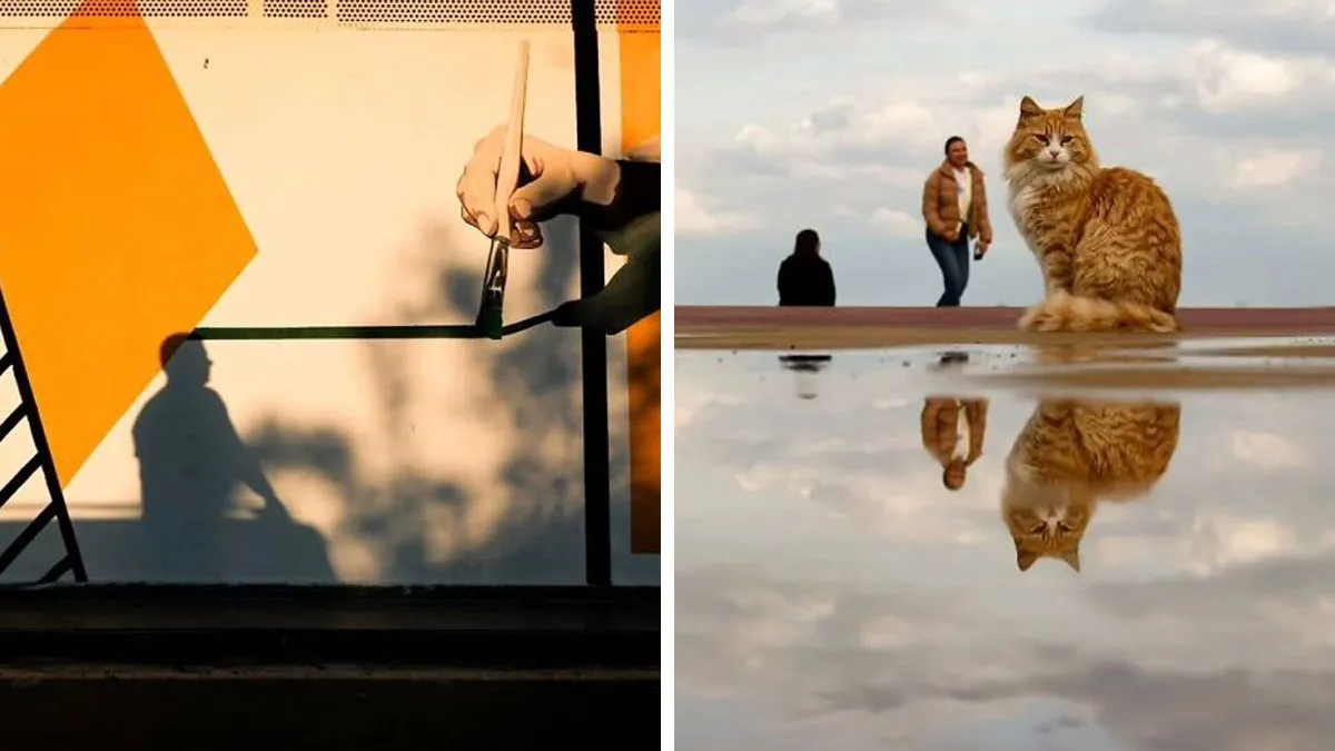 This Photographer Captures Candid Moments Where Timing Is Everything, And Here's The Result (45 Pics)