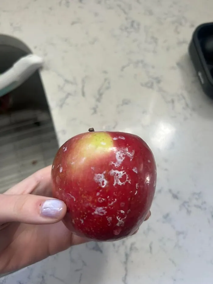 46 Everyday Things That People In This Thread Had To Relearn How To Do As They Were Doing Them Wrong