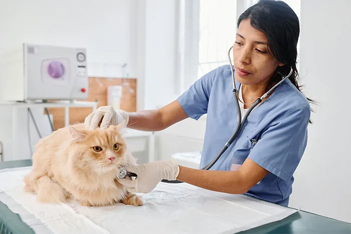 "You Put It Up There": 41 Times Patients Tried To Fool Doctors With Ridiculous Lies