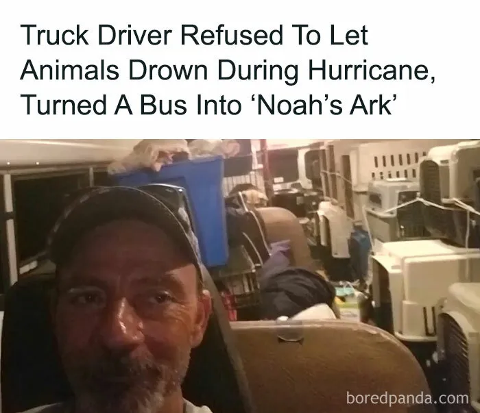 This Truck Driver