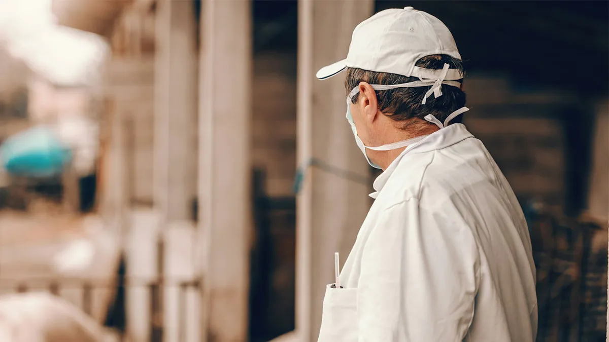 47 Times Health Inspectors Were Not Prepared For The Sight They Would Be Exposed To