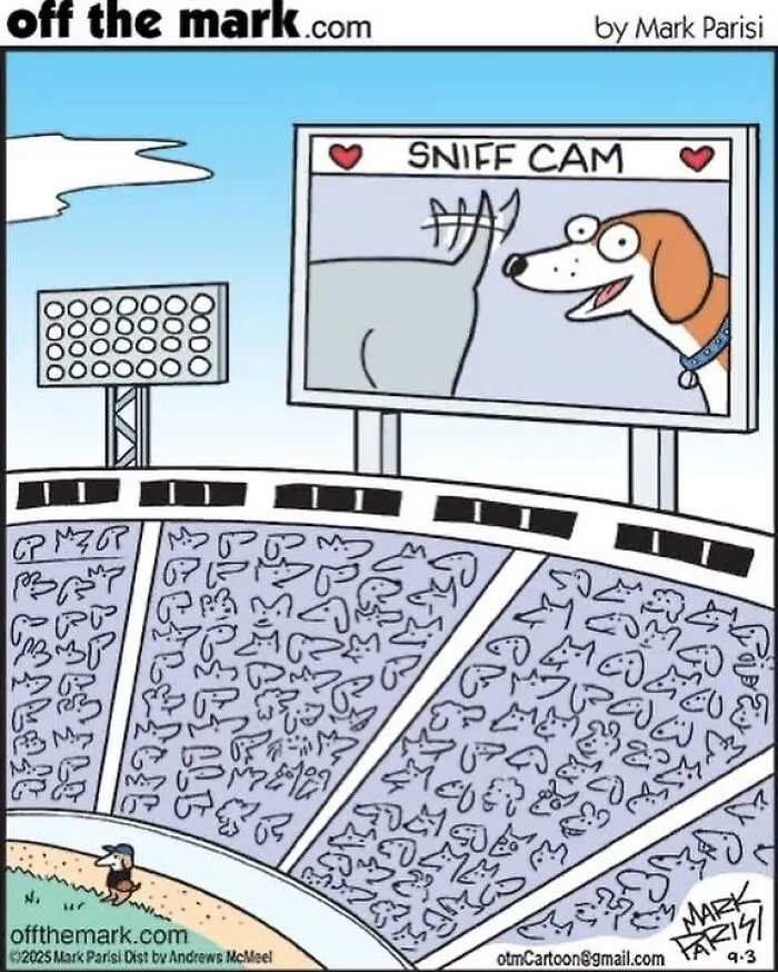 50 Clever And Wholesome Comics By Mark Parisi That Capture Life’s Funniest Moments