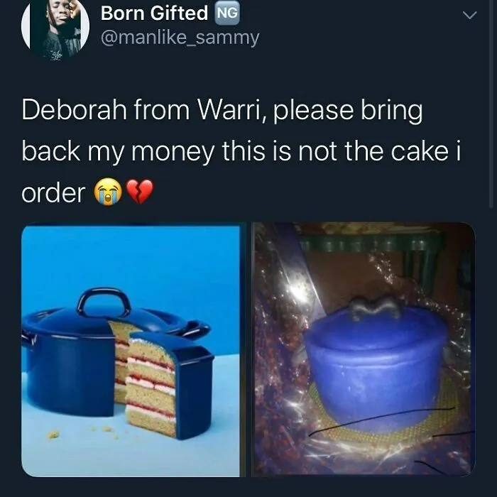 Comparison of what was ordered versus what was received showing a pot-shaped cake fail with disappointing results.