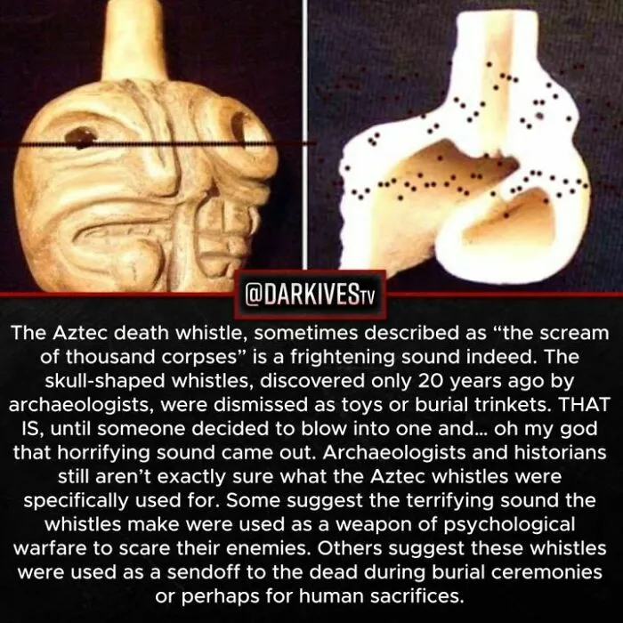 50 Disturbing Facts That Fans Of This Instagram Page Can’t Get Enough Of