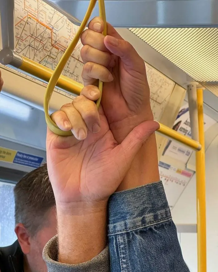 New York Subway Has The Most Unusual Passengers Carrying These 50 Things In Their Hands