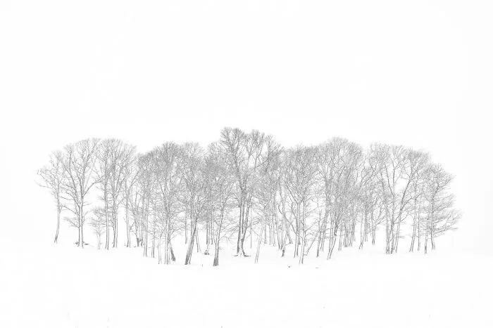After The Snow By Philippe Ricordel