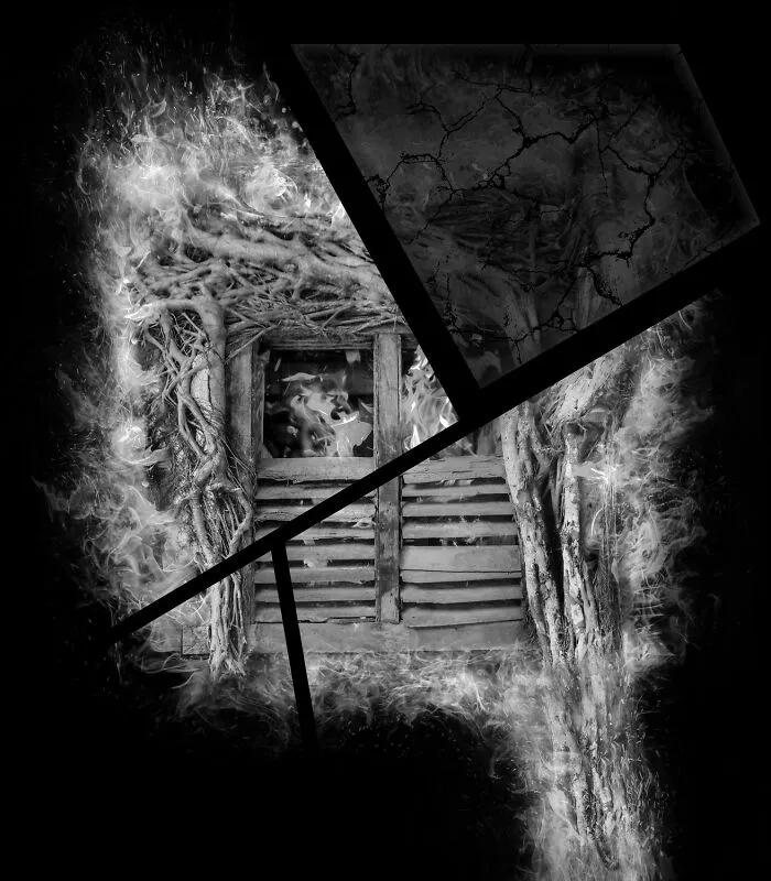 The Forgotten History By Lee Ching Kai