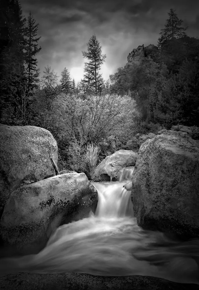Where The Wild Things Are By David Zlotky