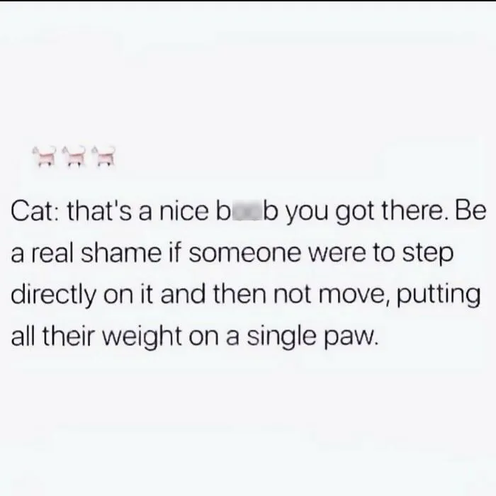 Text meme about navigating the world as just a girl, humorously describing a cat stepping on a sensitive spot.