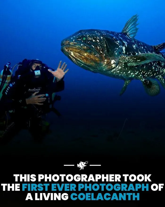 50 Fascinating Posts From The Instagram Account 'The Weird Unknown'