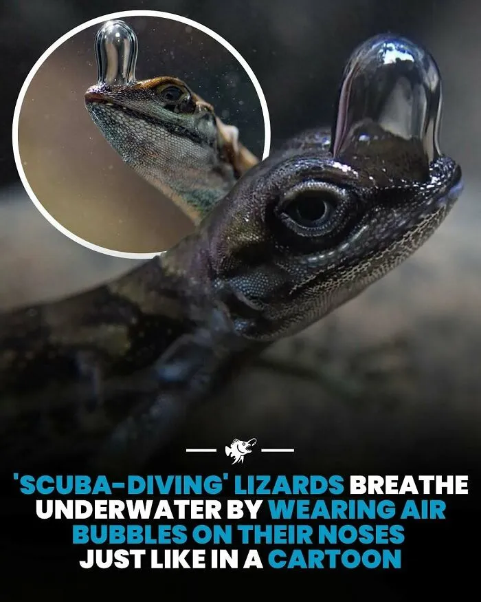 50 Fascinating Posts From The Instagram Account 'The Weird Unknown'