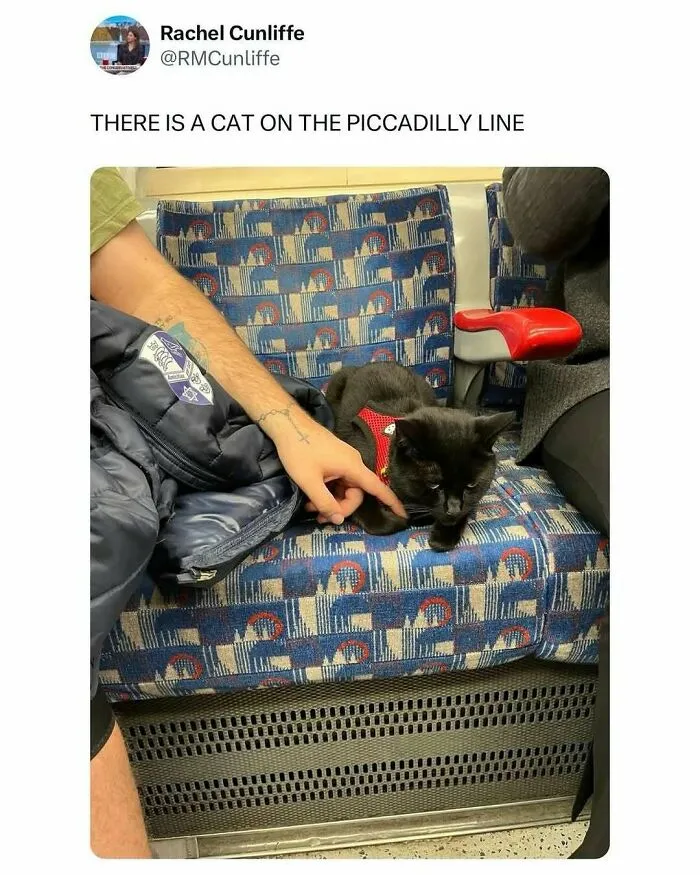 “Great London Memes”: 50 Hilarious Posts From This Page Dedicated To UK Humor