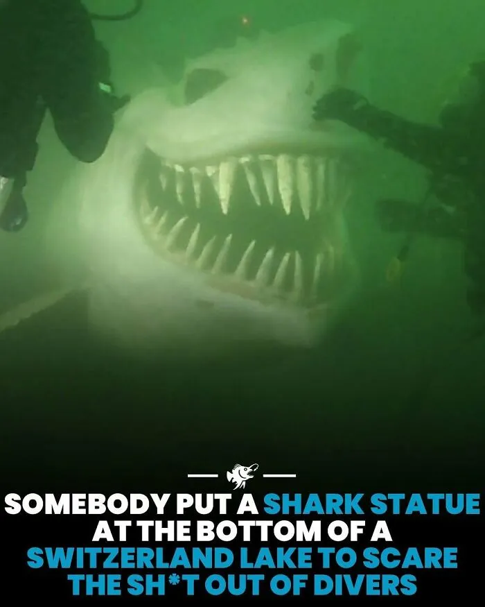 50 Fascinating Posts From The Instagram Account 'The Weird Unknown'