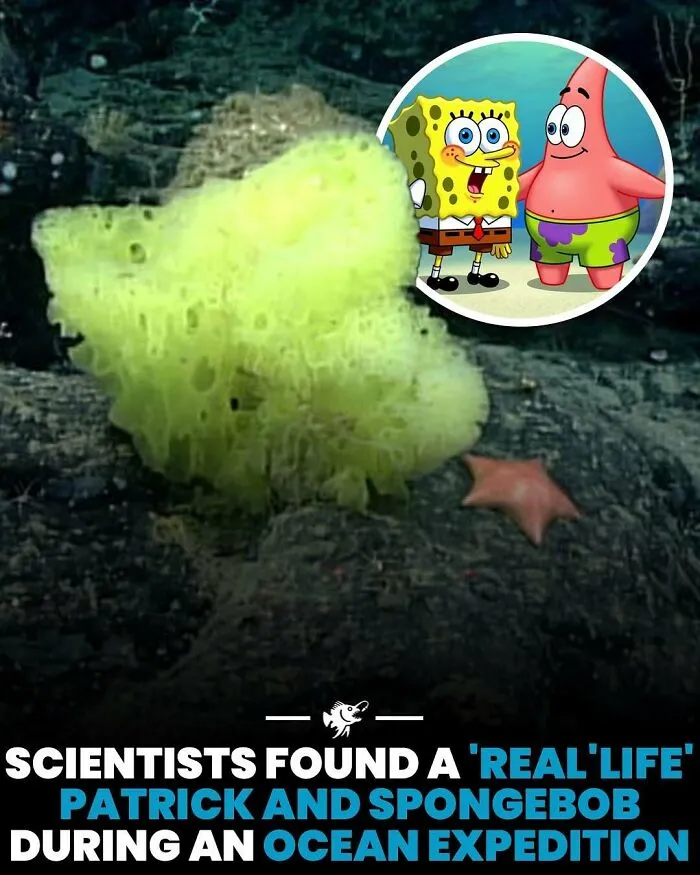 50 Fascinating Posts From The Instagram Account 'The Weird Unknown'