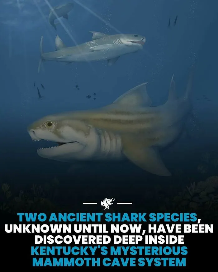 50 Fascinating Posts From The Instagram Account 'The Weird Unknown'