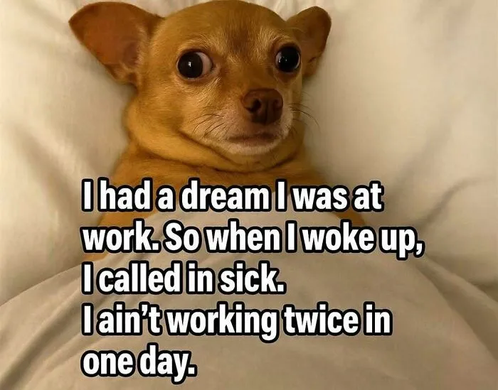 50 Funniest Pics From The "Introverts Are Awesome" Meme Page That Hit Harder Than Alone Time (New Pics)