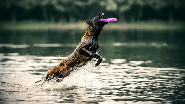 Flight Mode