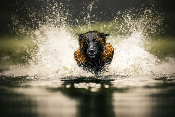 Hydro Hunter