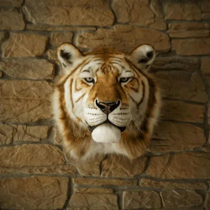 Artists From Armenia Create Lifelike Animal Replicas With Synthetic Materials Without Using Real Animals (15 Pics)
