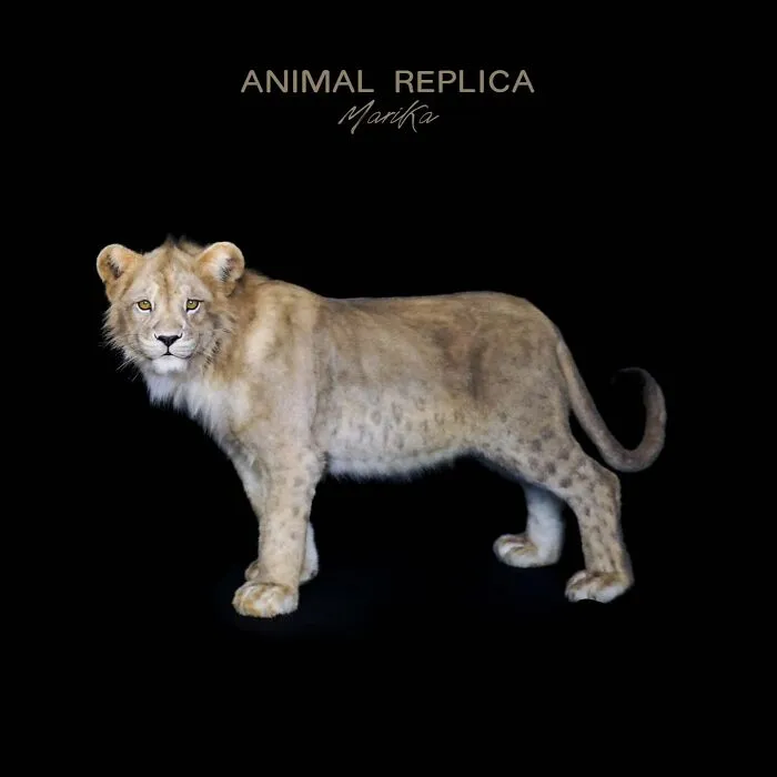 Artists From Armenia Create Lifelike Animal Replicas With Synthetic Materials Without Using Real Animals (15 Pics)