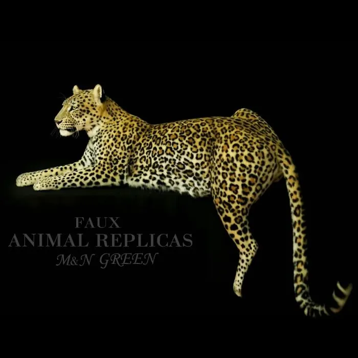 Artists From Armenia Create Lifelike Animal Replicas With Synthetic Materials Without Using Real Animals (15 Pics)