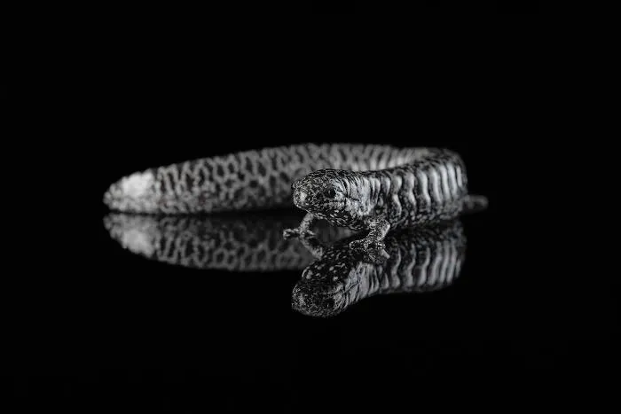 23 Amazing Shots Featuring Various Species Of Animals By This Photographer