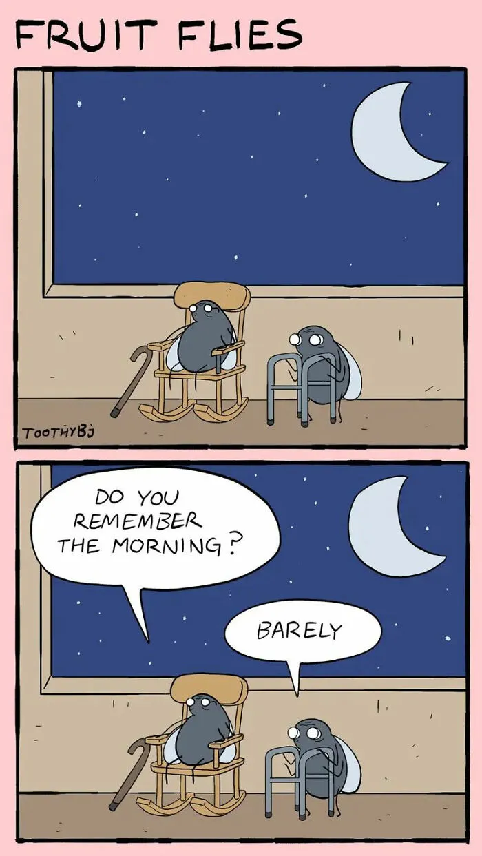 If You Enjoy Dark Humor, You Will Probably Enjoy These 50 Best Comics By ToothyBj