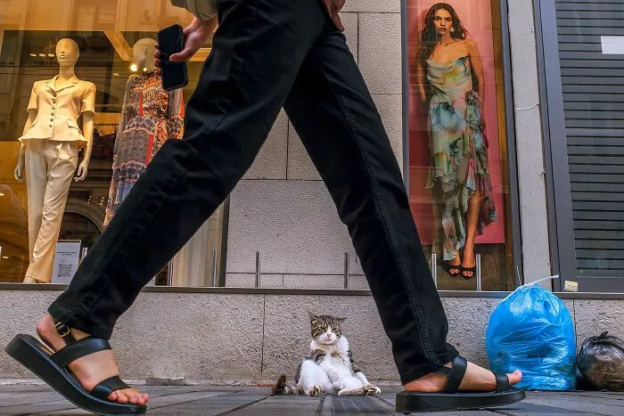 I Captured 30 Photos Revealing The Spirit Of Istanbul