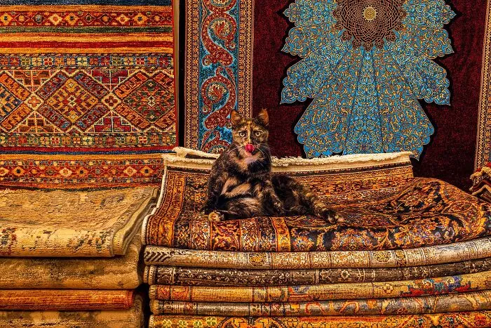 I Captured 30 Photos Revealing The Spirit Of Istanbul