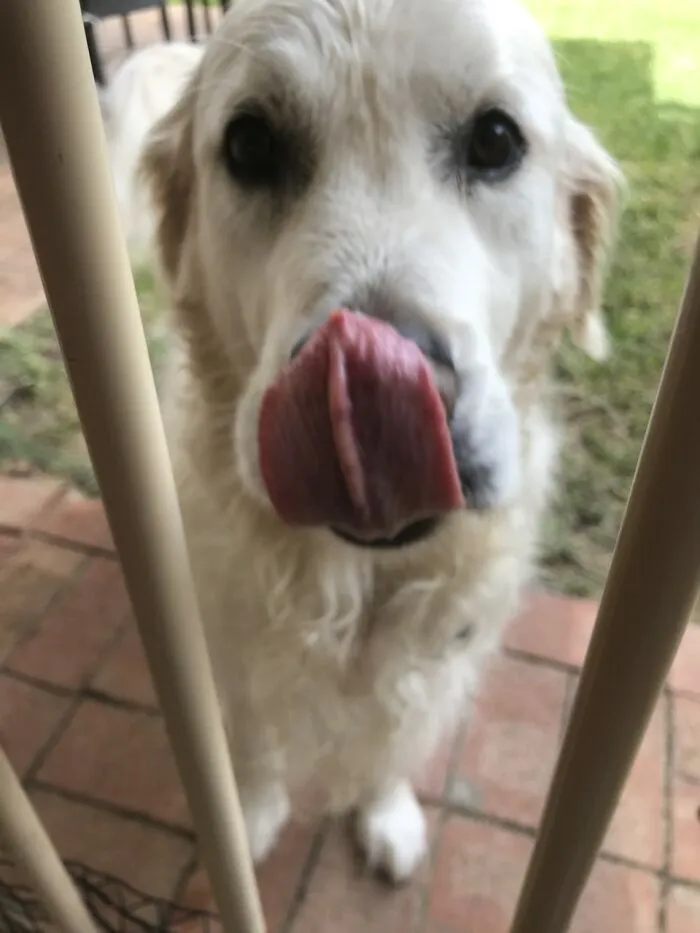 Here Are 20 Of My Dog Pics