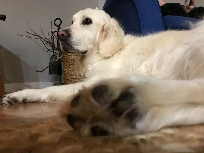 Foot Pic!