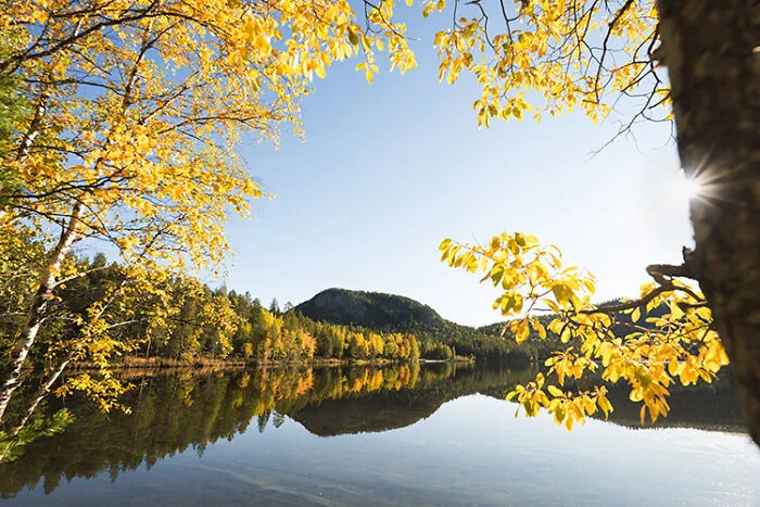 Konttainen, Finland