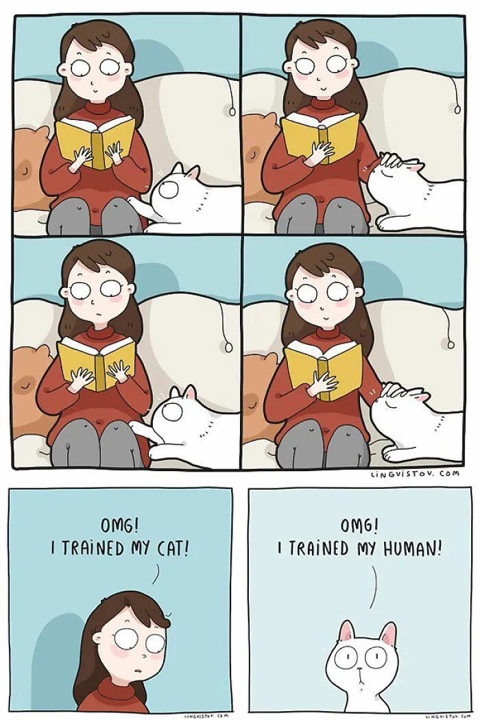 If You're A Cat Owner, These Comics By Lingvistov Might Be Very Relatable To You (50 Best Pics)