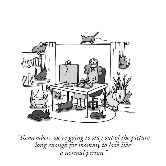 50 Hilarious ‘War And Peas’ Comics That Prove Dark Humor Can Be Weirdly Relatable