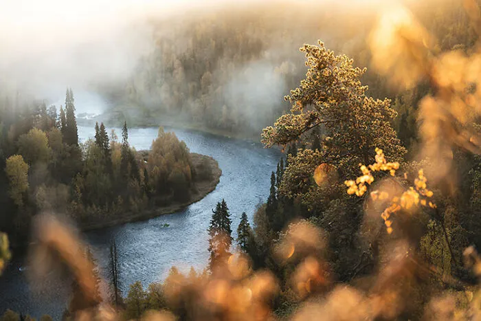 Oulanka National Park, Finland