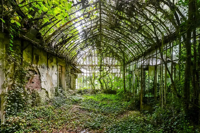 “Secret Gardens”: I Photographed Abandoned Greenhouses Around The World (19 Pics)