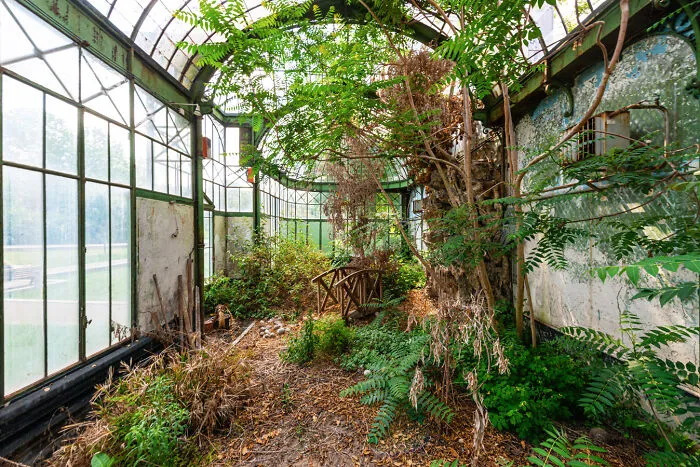 “Secret Gardens”: I Photographed Abandoned Greenhouses Around The World (19 Pics)