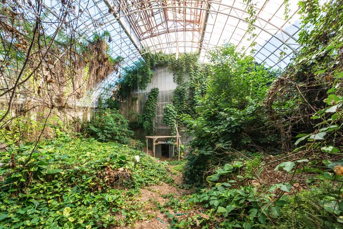 “Secret Gardens”: I Photographed Abandoned Greenhouses Around The World (19 Pics)