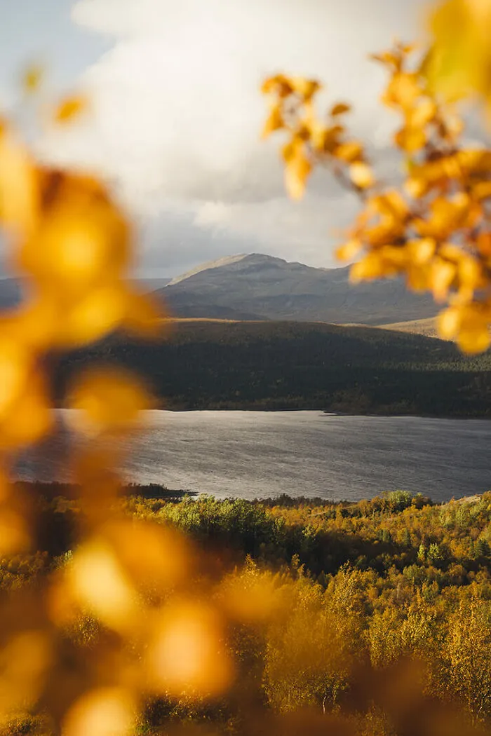 Stora Sjöfallet, Sweden