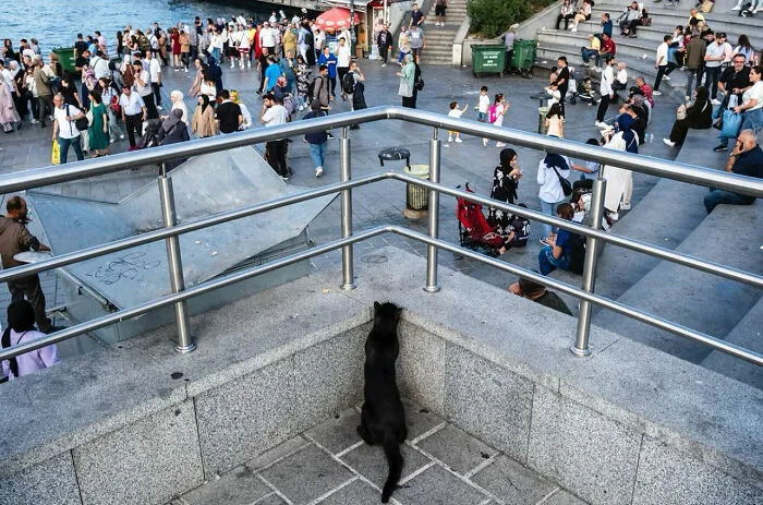 This Street Photographer Proves That Timing Is Everything, And Here Are His 36 New Shots